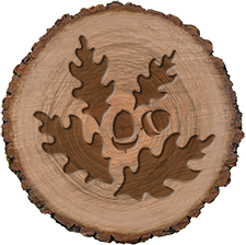 Camping in Nature icon