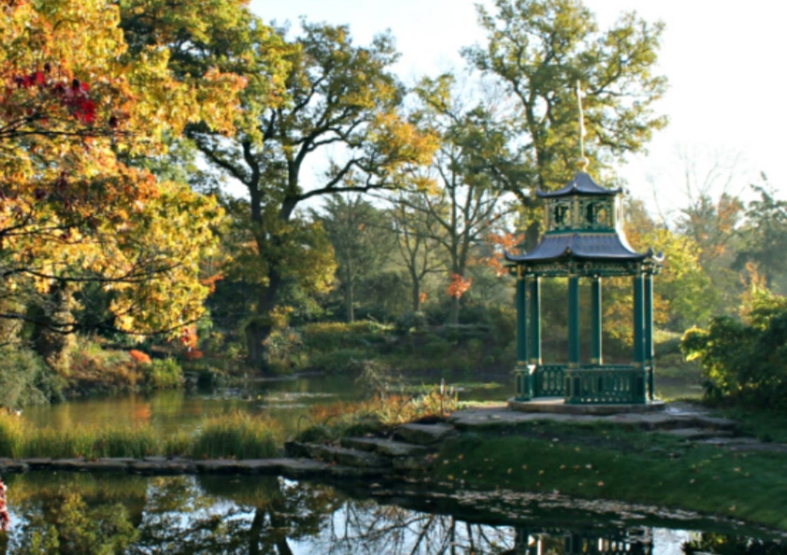 Local attractions