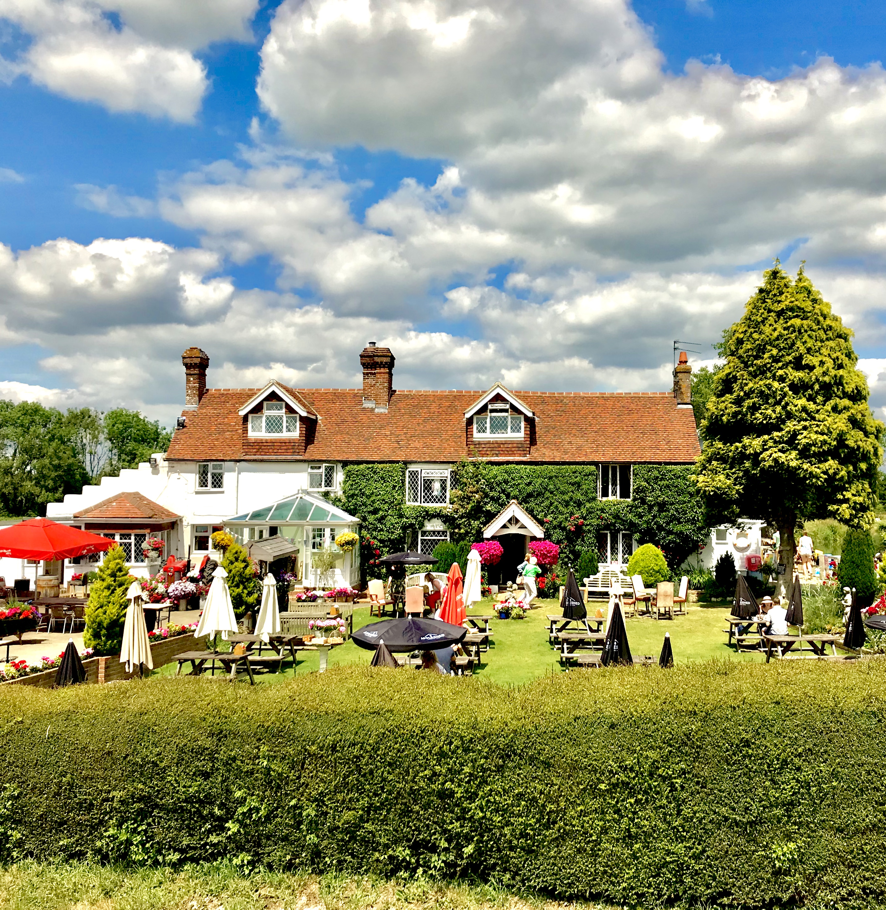 local pubs